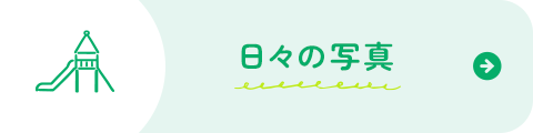 日々の写真