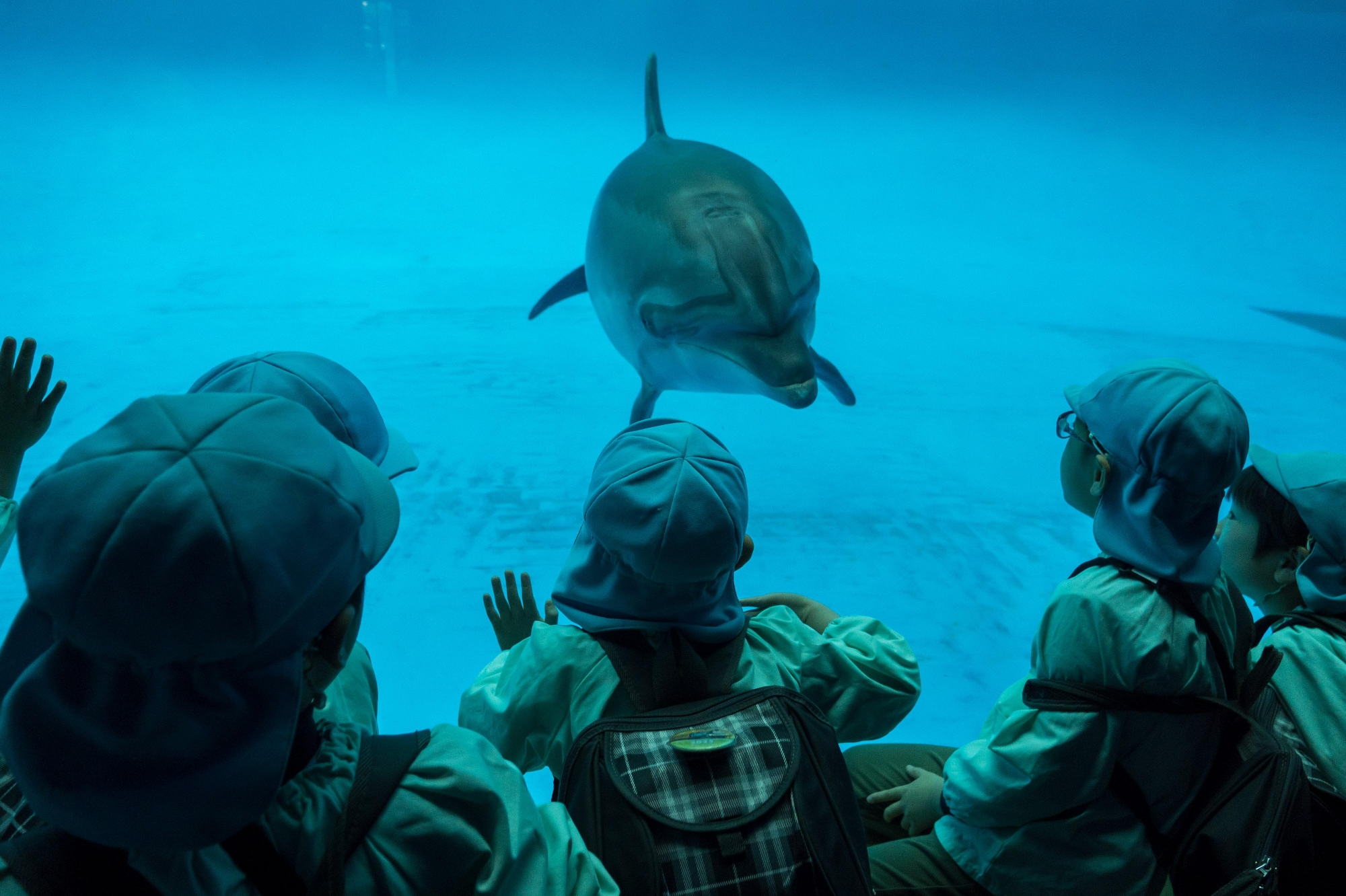 3月 大洗水族館遠足